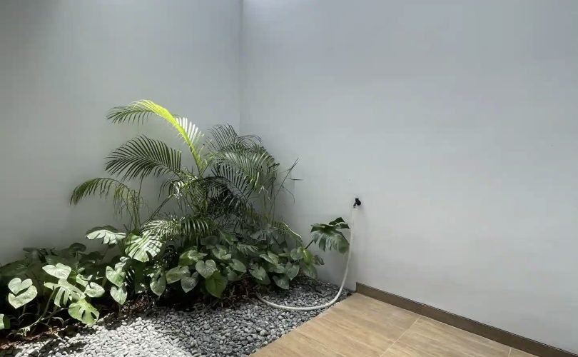 ezgif.com-optiwebp 6