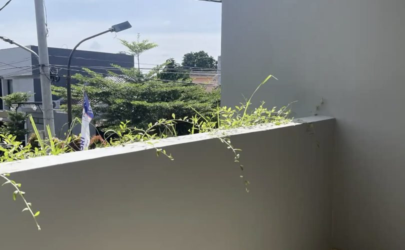 ezgif.com-optiwebp 7